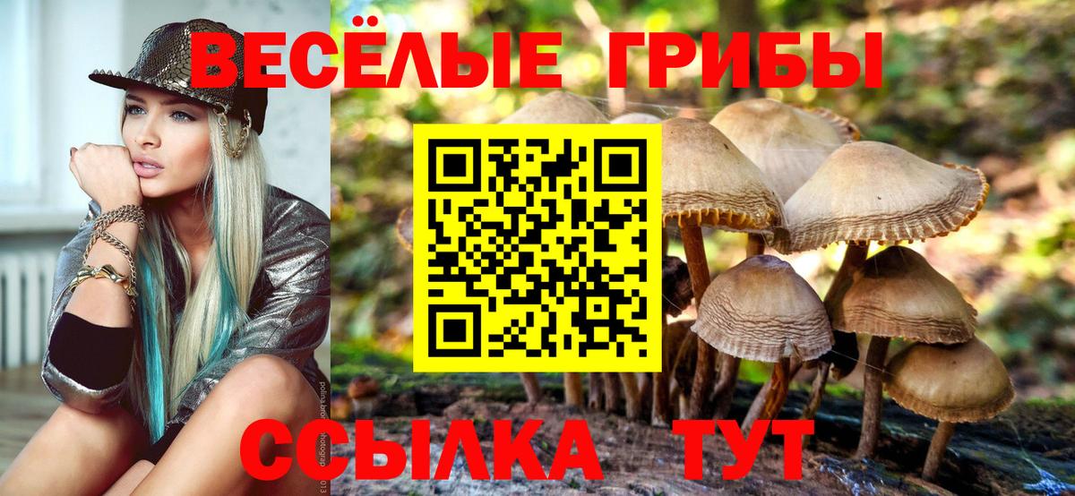 Галлюциногенные грибы Psilocybine cubensis Моршанск
