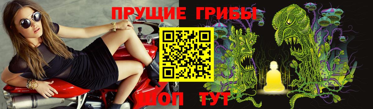 Галлюциногенные грибы Psilocybine cubensis  Вход с VPN  Моршанск 